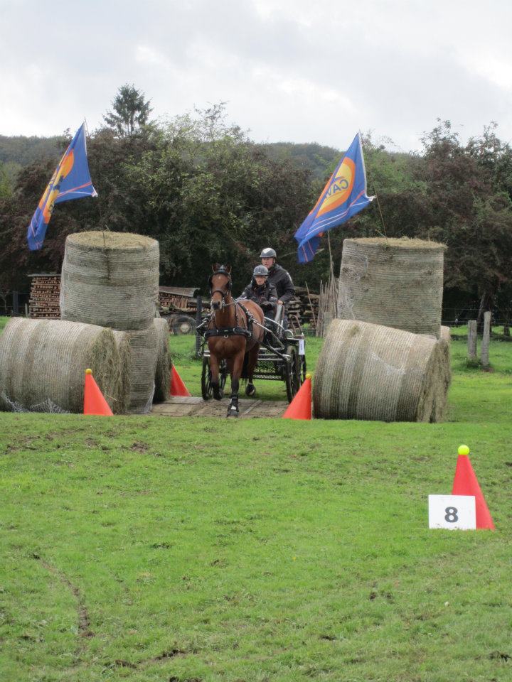 A la course intense d'attelage