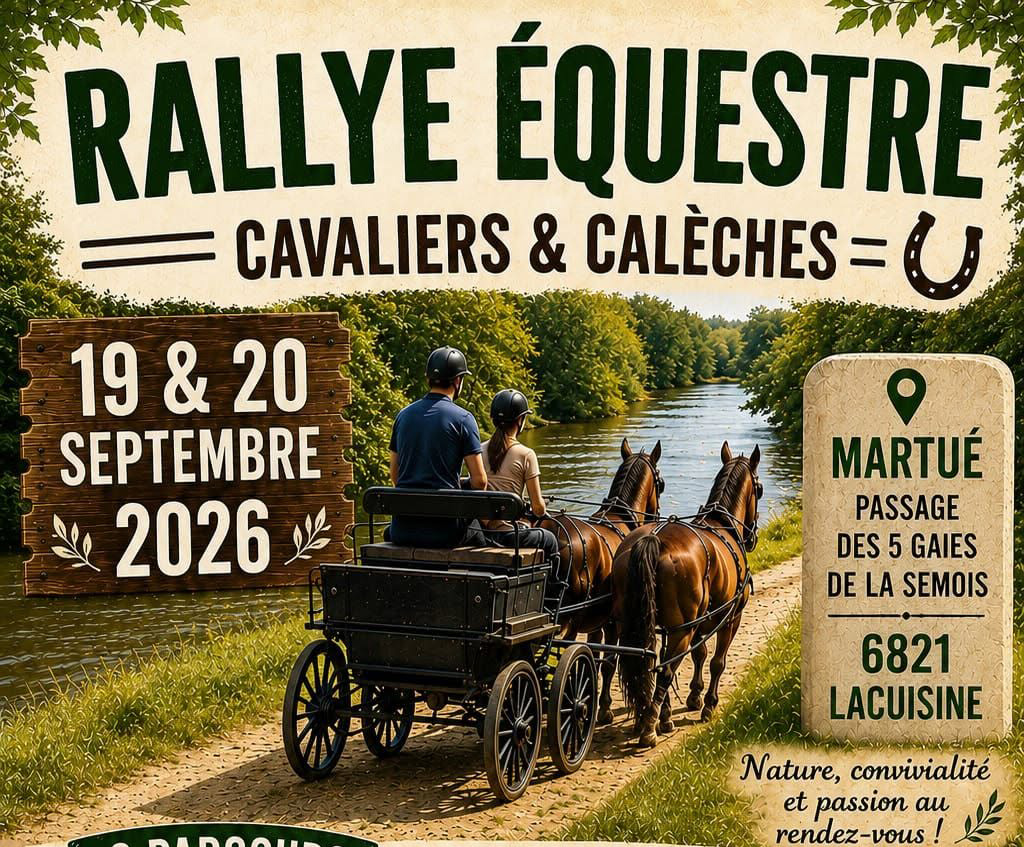 Rallye de Martué