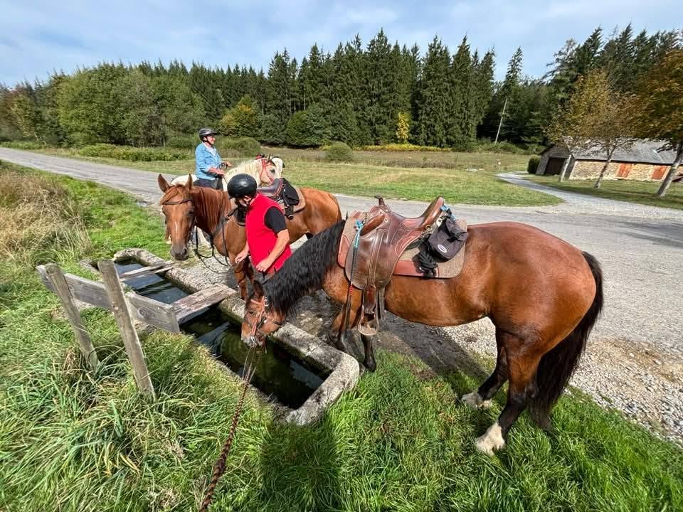 Balade le long de la Sémois