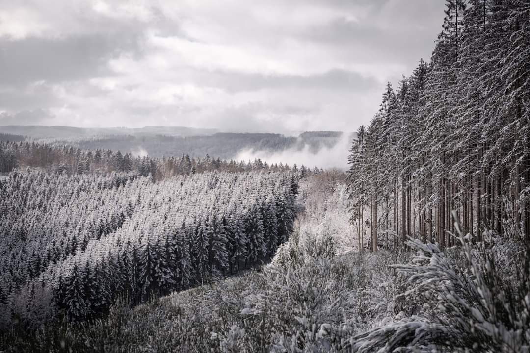 Paysage wallon